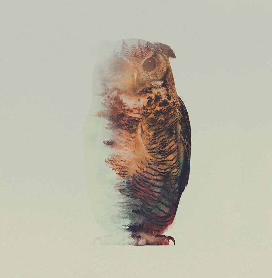 double-exposure-animal-photography-andreas-lie-11__880