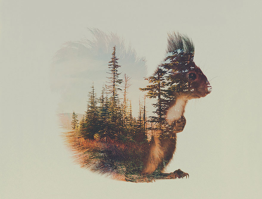 double-exposure-animal-photography-andreas-lie-8__880