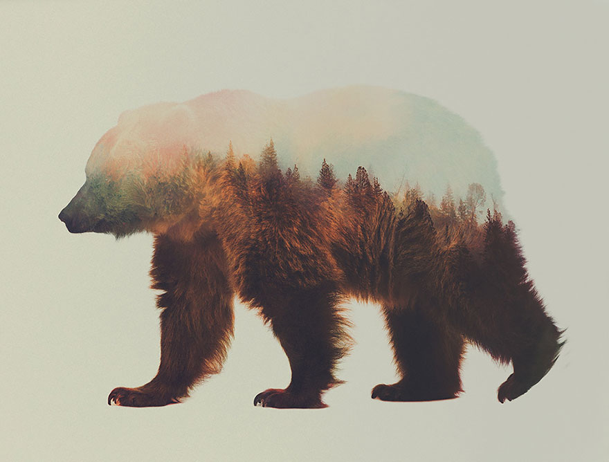 double-exposure-animal-photography-andreas-lie-9__880