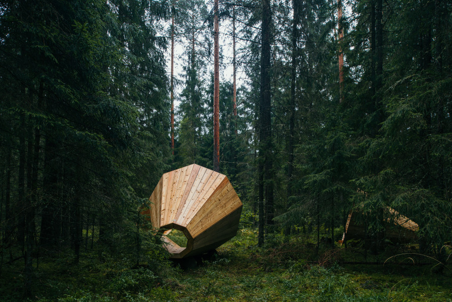 megaphone_estonia_ruup_forest04