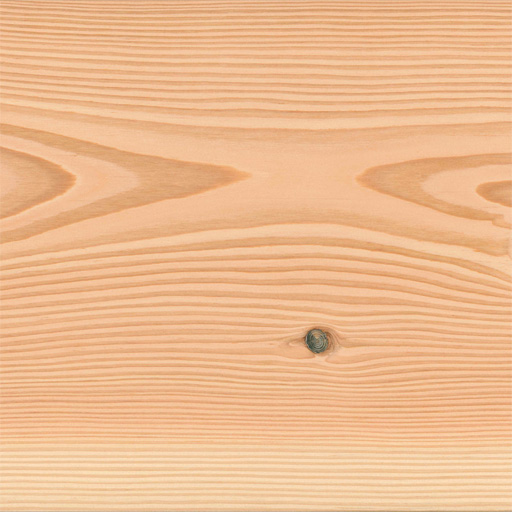 Sample of a Douglas board with »Select« grade type, sanded, untreated